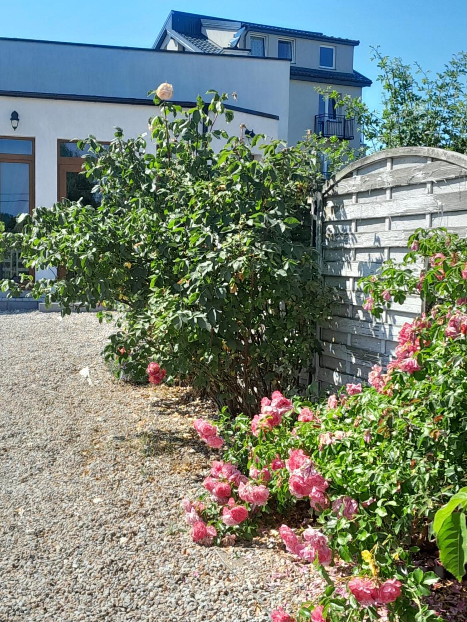 Willa Sunrise Władysławowo Exterior foto